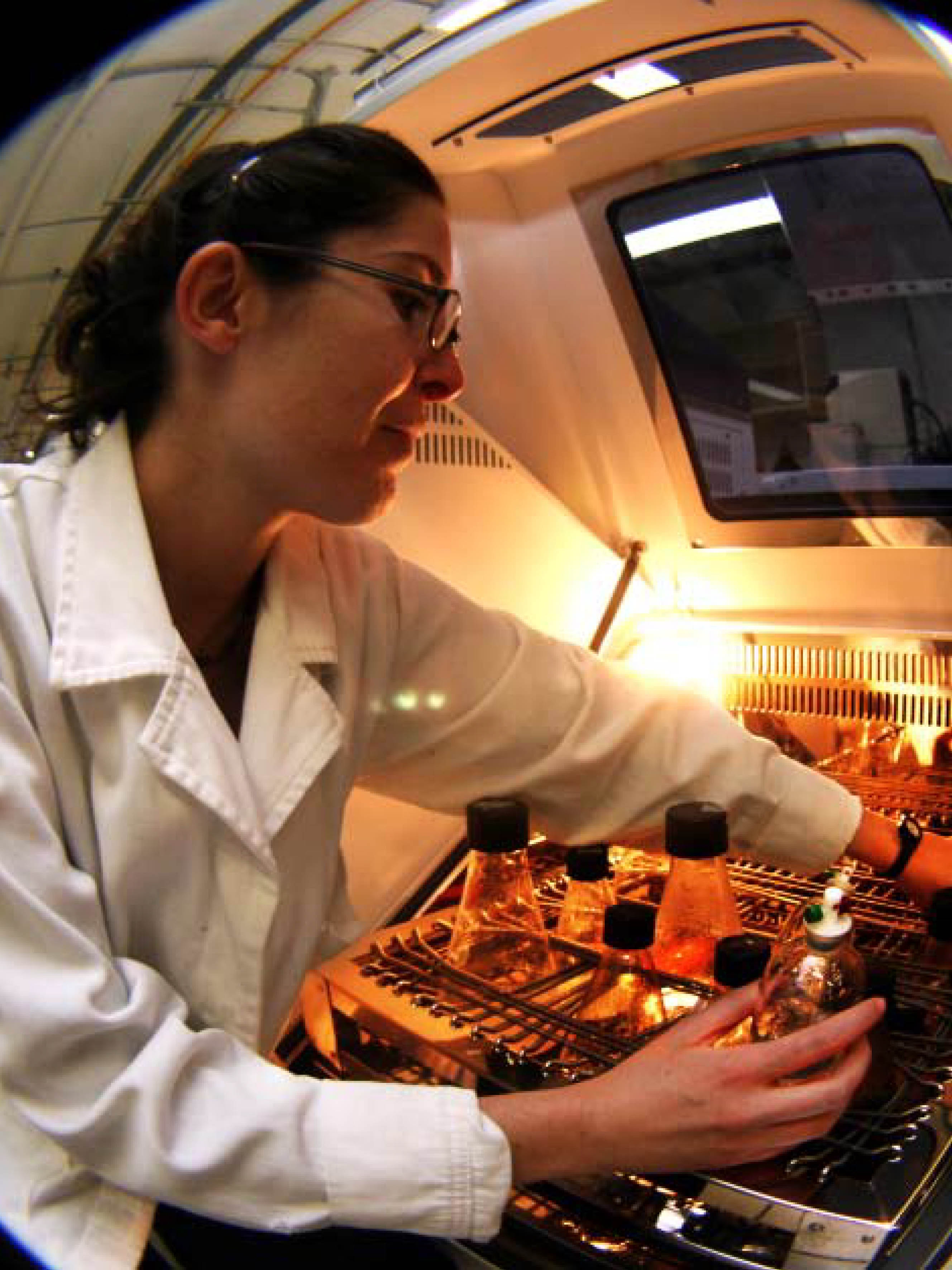 Ciencia sureste en el Sureste